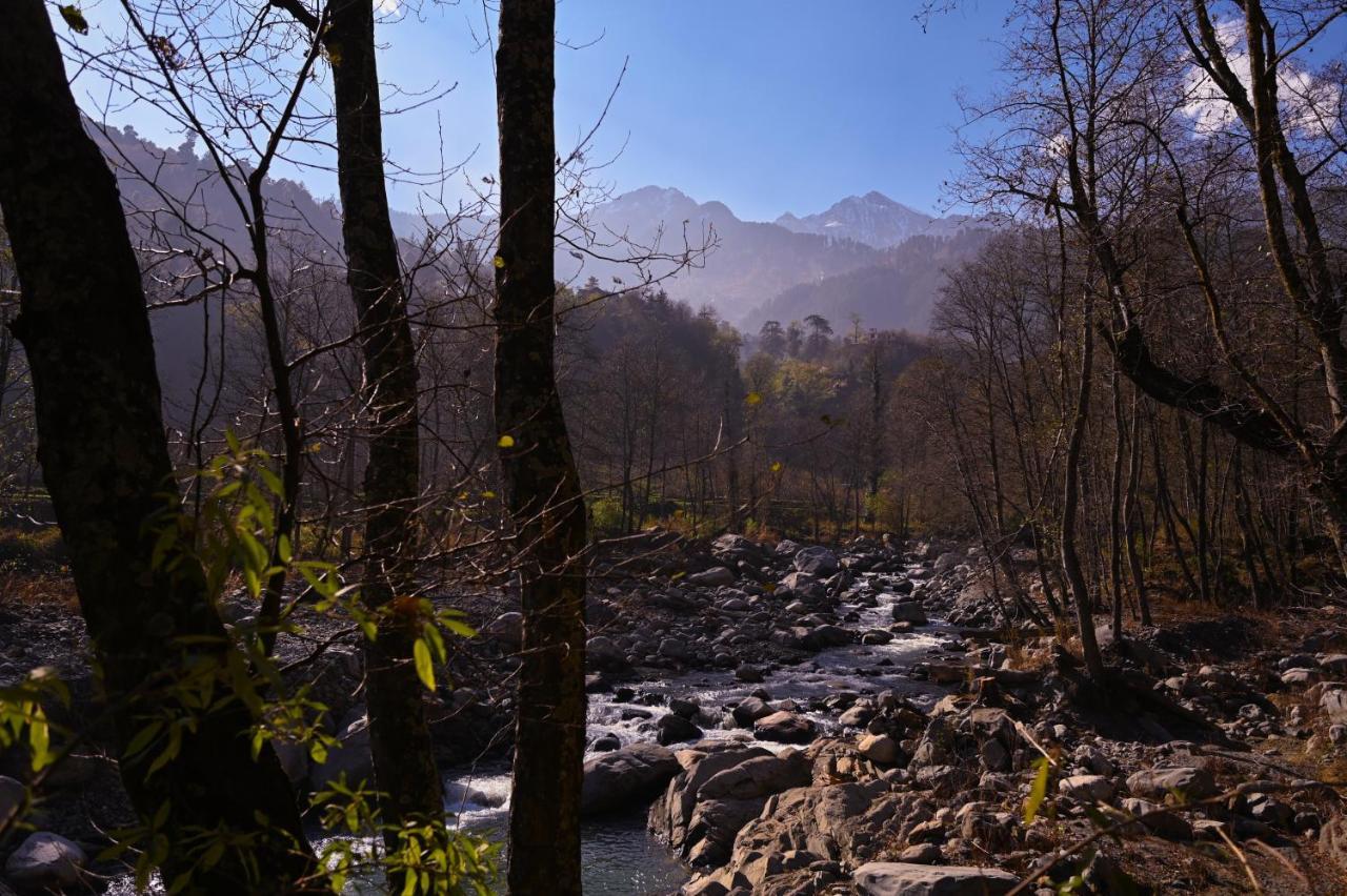 Zostel Dobhi, Manali Hostel Nagar  ภายนอก รูปภาพ