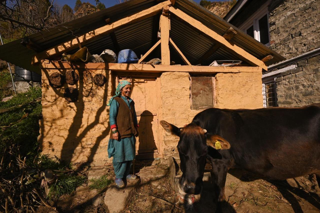 Zostel Dobhi, Manali Hostel Nagar  ภายนอก รูปภาพ