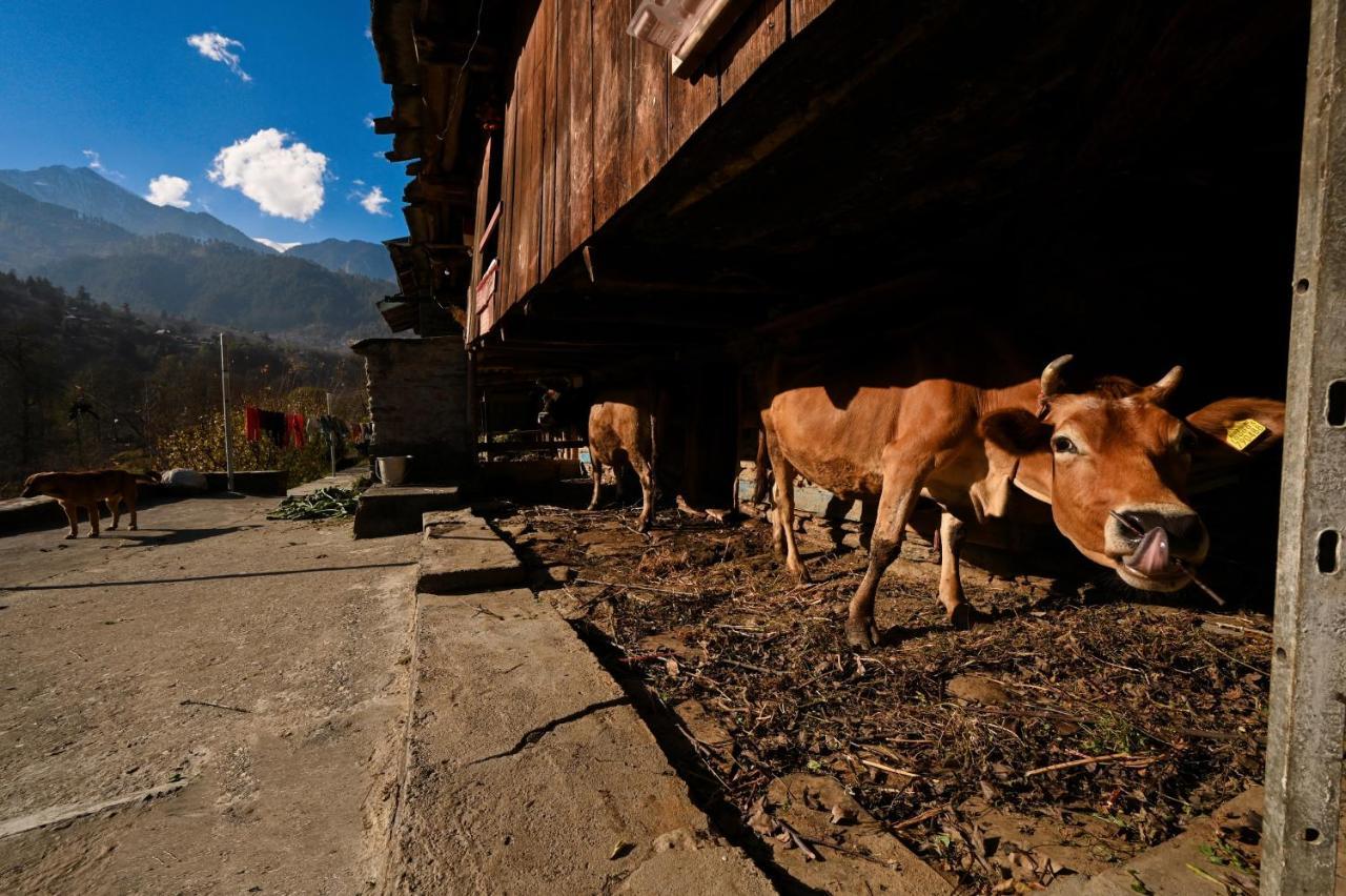 Zostel Dobhi, Manali Hostel Nagar  ภายนอก รูปภาพ