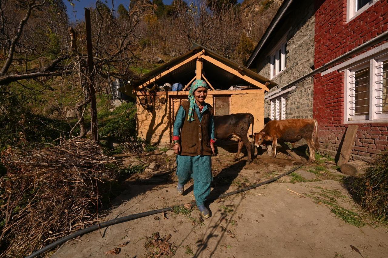 Zostel Dobhi, Manali Hostel Nagar  ภายนอก รูปภาพ