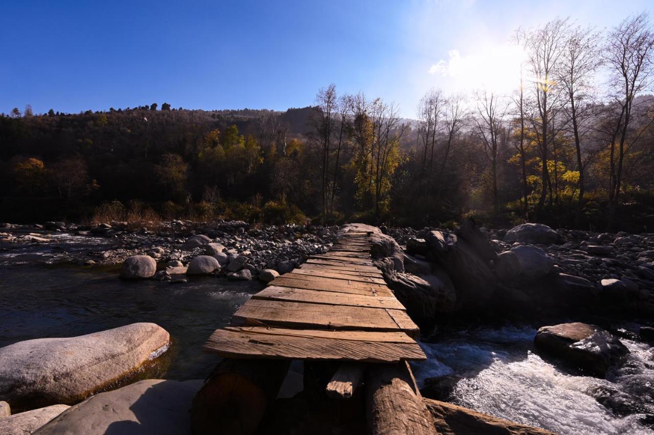 Zostel Dobhi, Manali Hostel Nagar  ภายนอก รูปภาพ