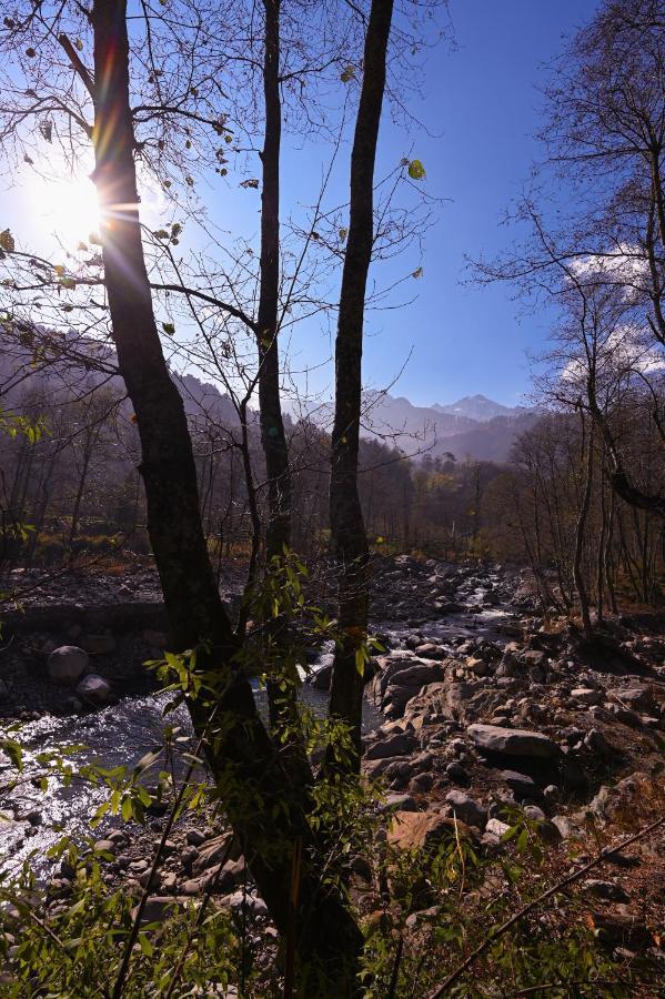 Zostel Dobhi, Manali Hostel Nagar  ภายนอก รูปภาพ