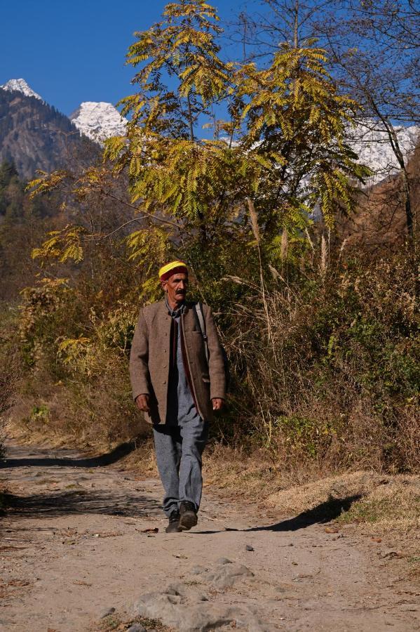 Zostel Dobhi, Manali Hostel Nagar  ภายนอก รูปภาพ